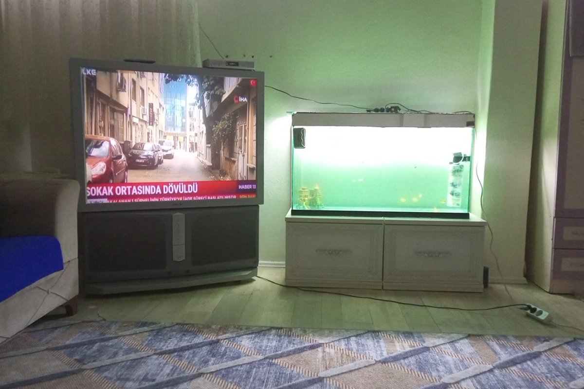 Bağcılar kiralık oda – Bir artı 0 ev herşey var normalde 10 TL kirası yarı yarı vermek için bı temiz arkadas