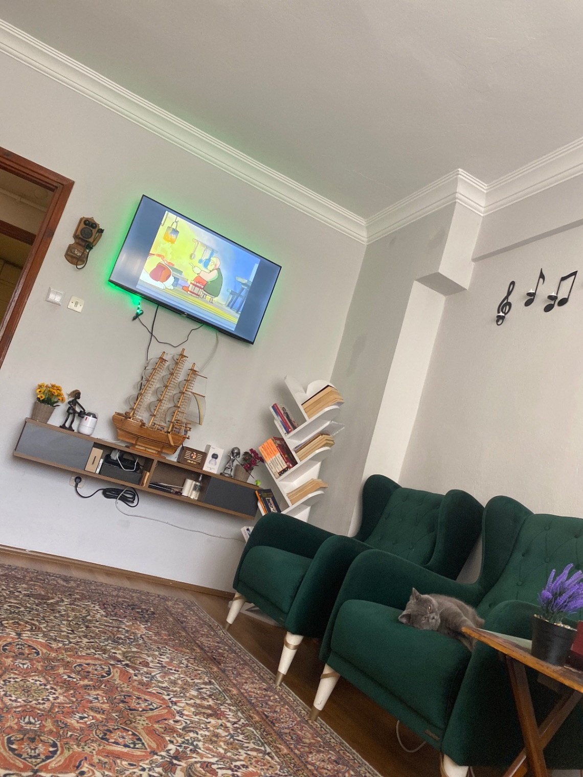 Üsküdar kiralık oda – Ben zaten kiramı düzenli ödüyorum Trans bir erkeğim saygılı bir bayana evimi acabilirim