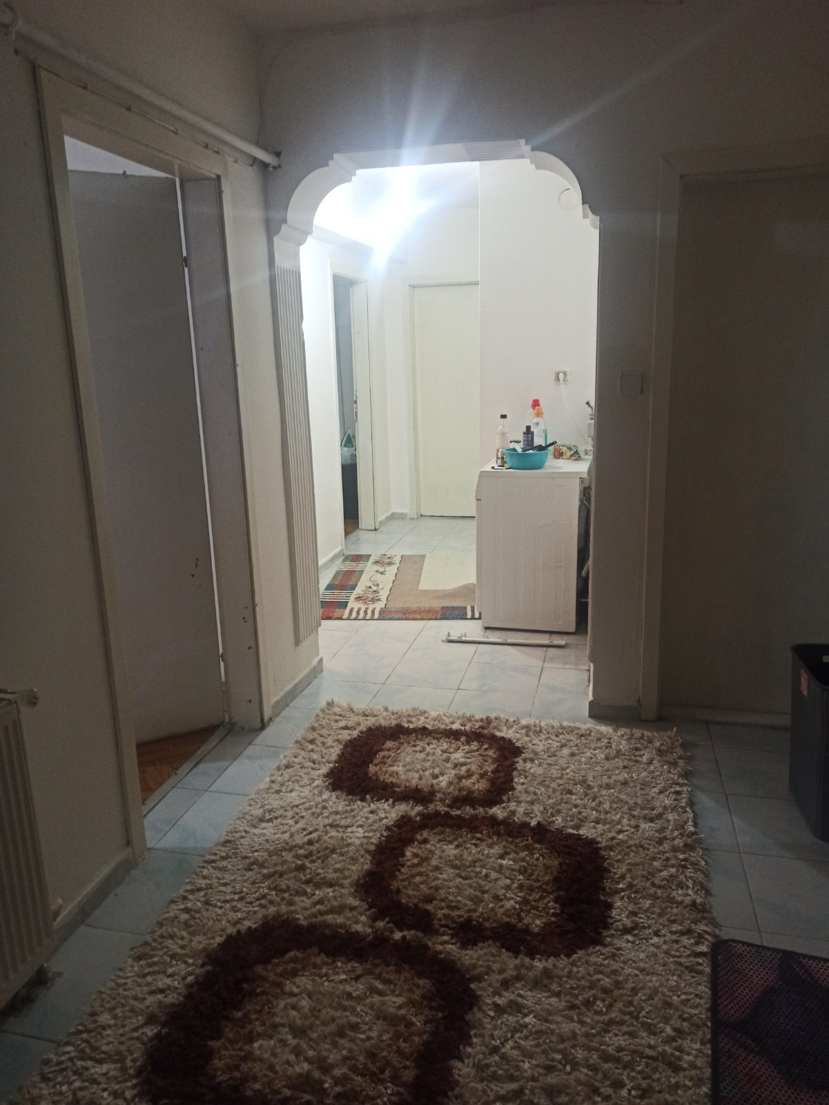 Mamak kiralık oda – Hayvansever kadın ev arkadaşı arıyorum